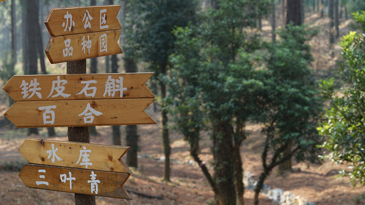 15414220248277749zJW.jpg DSC07954.JPG