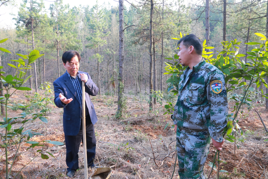 1553127234904926QQtq.jpg 微信图片_20190320162653.jpg