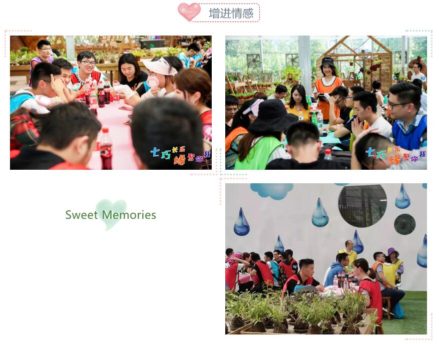 1565665720560829isyg.jpg 11.jpg